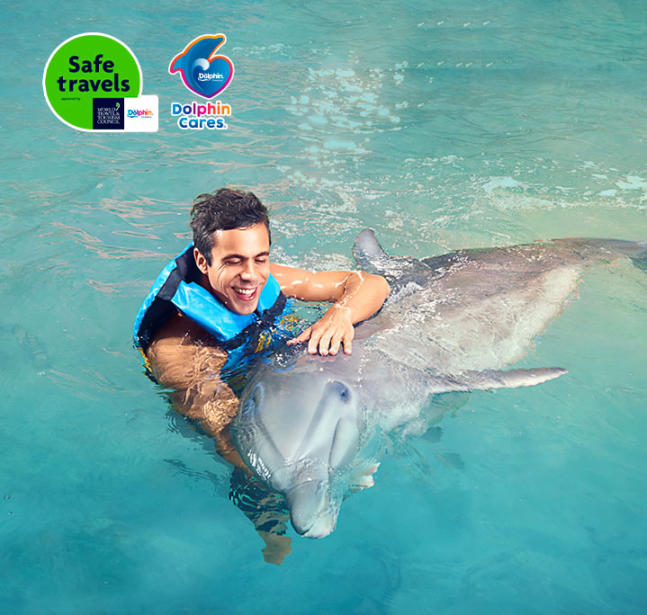 A family swimming with a dolphin in Cancun