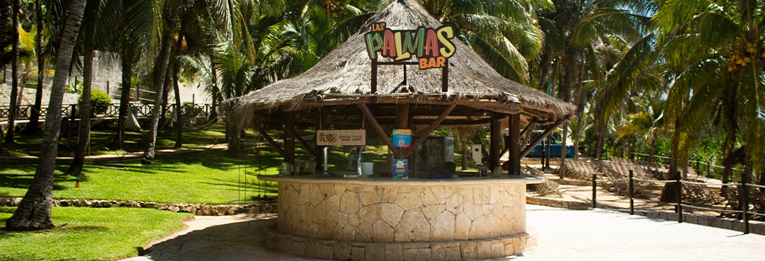 Couple in the bar enjoying the day in isla mujeres