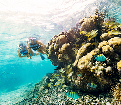 Snorkel en Parque Garrafón, Cancún, Isla Mujeres