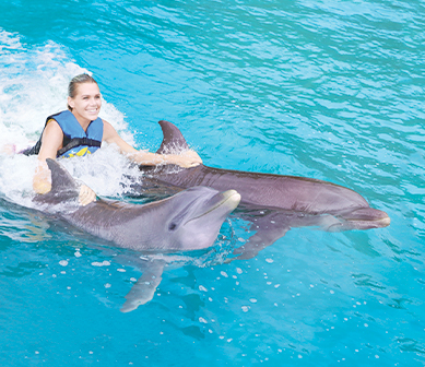 Swim with dolphins in Garrafon Park, Cancun, Isla Mujeres